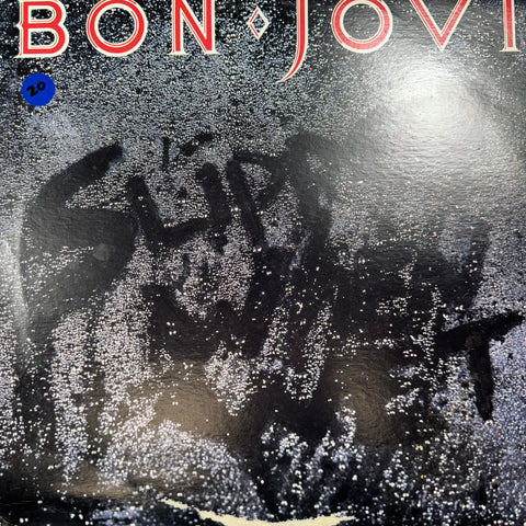 Bon Jovi Slippery When Wet Vinyl