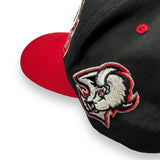 Vintage 90s Buffalo Sabres G-Cap Wave